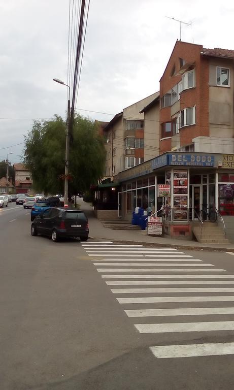 Garsoniera Del Dodo Alba Iulia Exterior foto